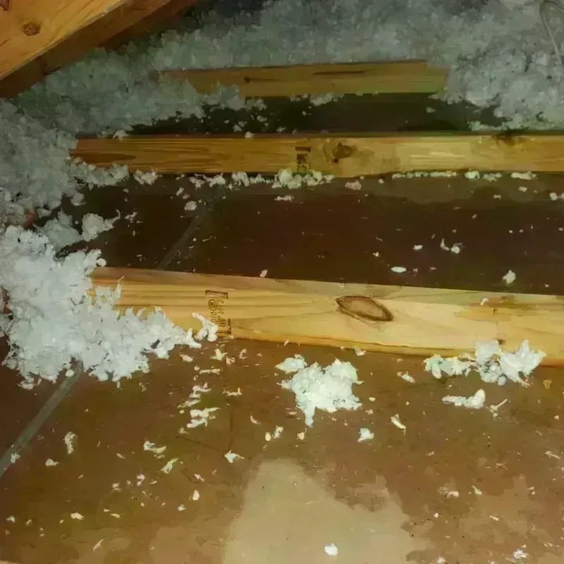 Attic Water Damage in Little Rock, AR