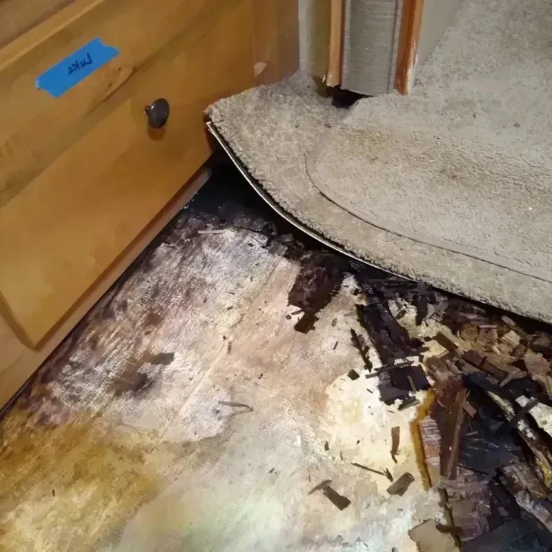 Wood Floor Water Damage in Little Rock, AR